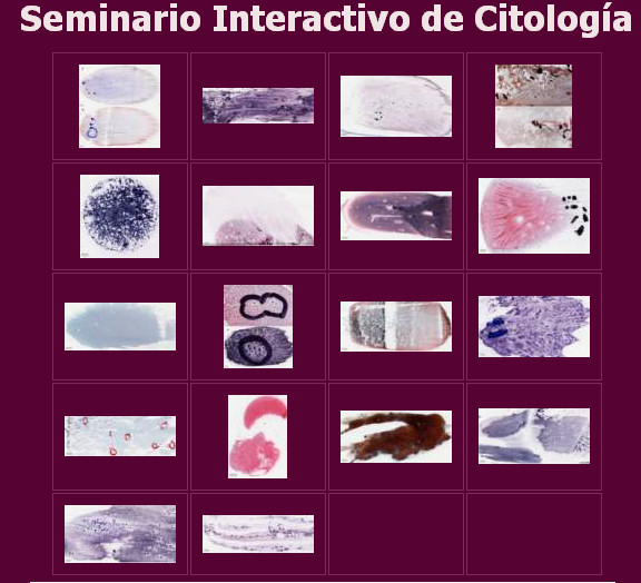 Seminario interactivo de citologa