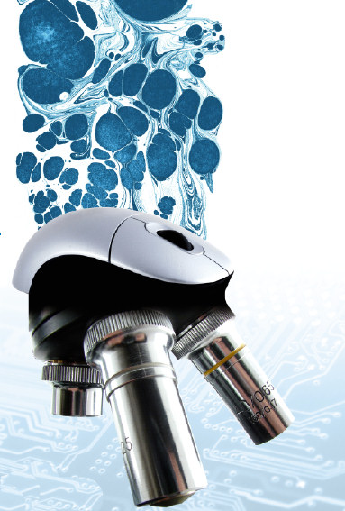 Homepage of the 9th European Congress on Telepathology, Toledo 2008