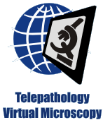 8th European Congress on Telepathology and 2nd International Congress on Virtual Microscopy